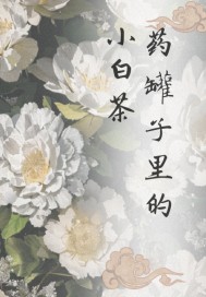 药罐子里的小白茶