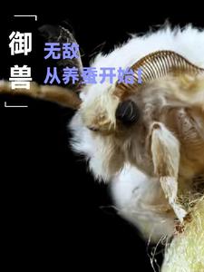 御兽，无敌从养蚕开始！