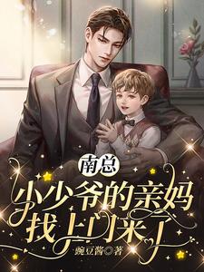 南总，小少爷的亲妈找上门来了