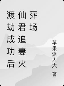 渡劫成功后仙君追妻火葬场