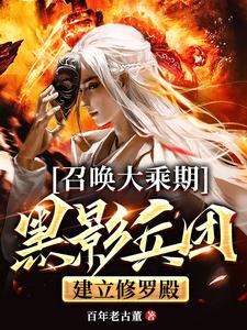 召唤大乘期黑影兵团，建立修罗殿