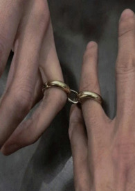 昙花与他（强制）