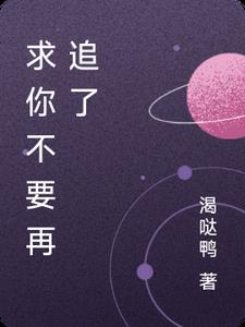 求你不要再追了