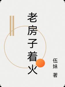 老房子着火