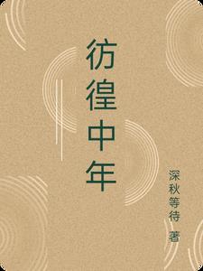 彷徨中年