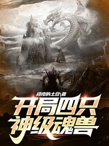 开局四只神级魂兽